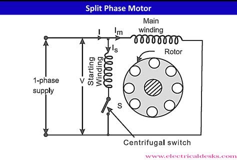 In A Split Phase Induction Motor