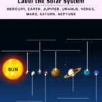 in our Solar System Worksheet Turtle Diary