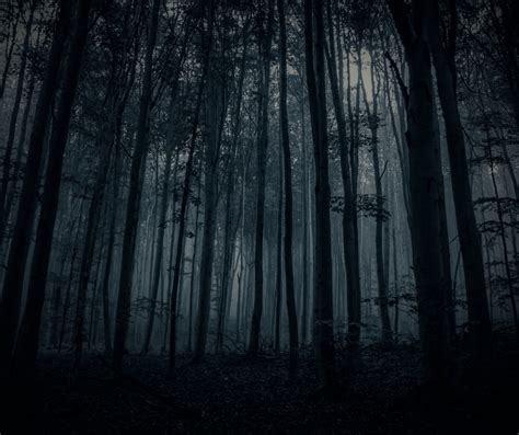 In The Darkness