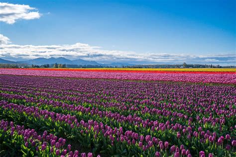 in washington state