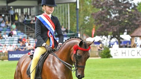 Read In Hand Ridden Date Name Of Show Class Position Horse Pony 
