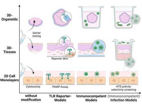 in-vivo