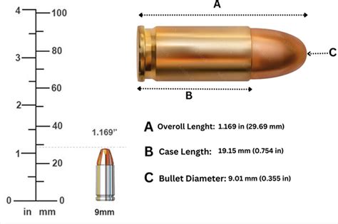 inch bullet diameter (33mm) in a 1.