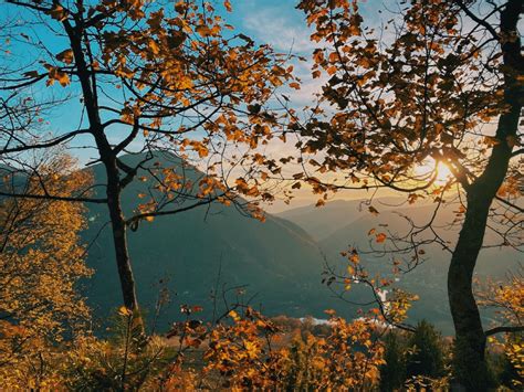 nature photo by Enid Gleichner