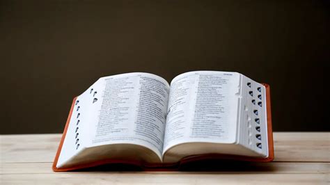 include artinya | PDF LEGAL UPDATE Business Law Firm