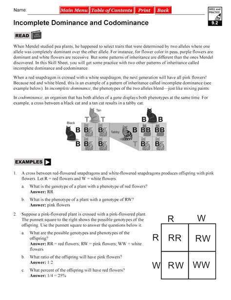 Incomplete And Codominance Codominance Worksheet Answers - Codominance Worksheet Answers