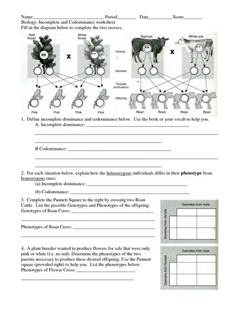 Incomplete And Codominance Worksheet