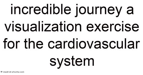 Incredible Journey A Visualization Exercise For Biochemistry