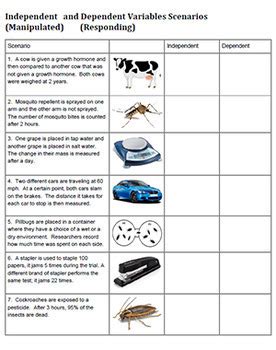Independent And Dependent Variables Key By Biologycorner Tpt Independent And Dependent Variables Answer Key - Independent And Dependent Variables Answer Key