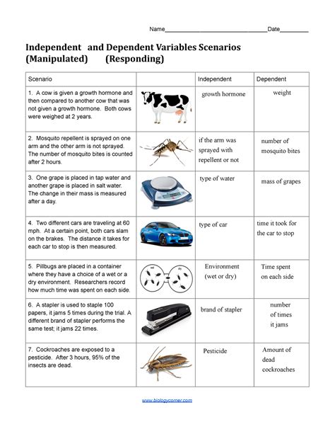 Independent And Dependent Variables Science Sheet Beyond Twinkl Variable Science Worksheets - Variable Science Worksheets