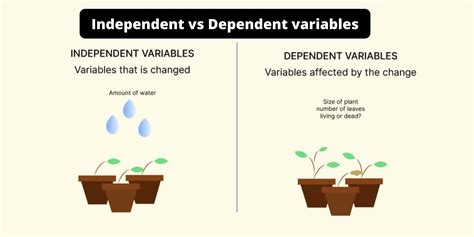 Independent Vs Dependent Variables What Are They And Independent And Dependent Variables Answer Key - Independent And Dependent Variables Answer Key