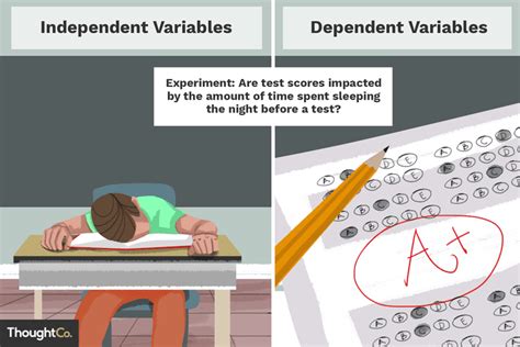 Download Independent Dependent Variable Lab Middle School 