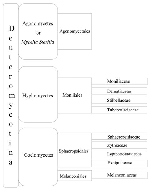 Download Index Of Fungi Saccardos Omissions Sgscc 