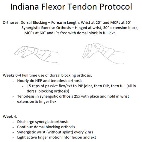indiana hand protocol flexor tendon repair