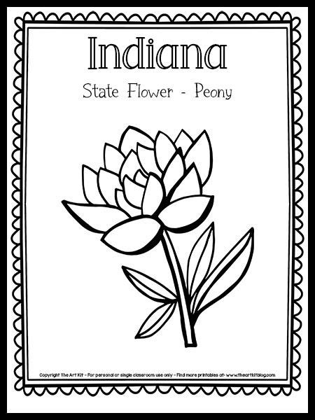 Indiana State Flower Worksheet Education Com 4th Grade States Flower Worksheet - 4th Grade States Flower Worksheet