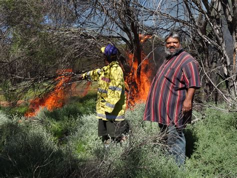 Indigenous Fire Management Started 11 000 Years Ago Cooking With Science - Cooking With Science