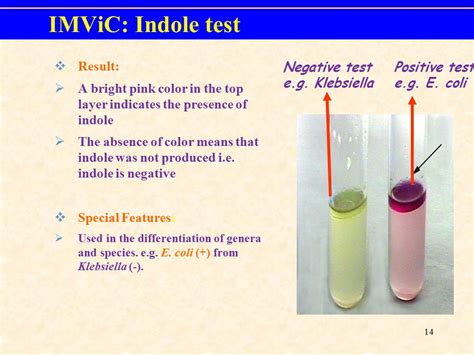 Indole Test Principle
