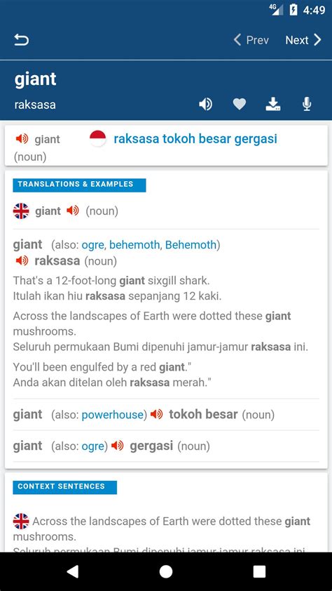 indonesian dictionary translator