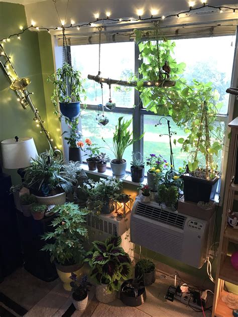 Indoor Apartment Garden Ideas