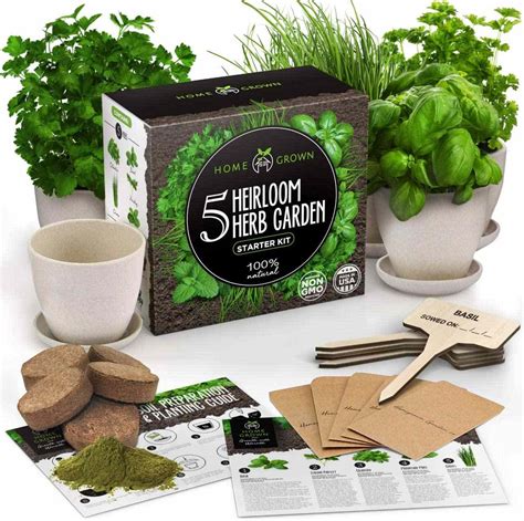 Indoor Herb Garden Starter Kit Amazon Com Balcony Garden Starter Kit - Balcony Garden Starter Kit