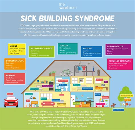 Download Indoor Air Quality And Sick Building Syndrome Basic Facts 