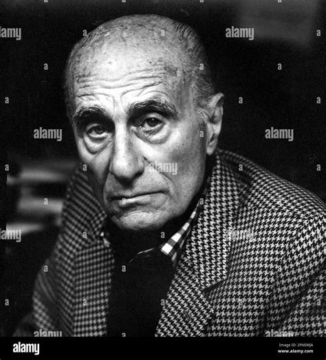 indro montanelli biography