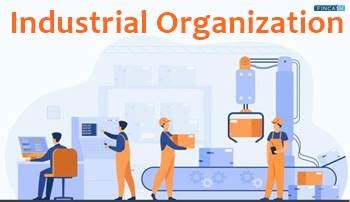 Download Industrial Organization 