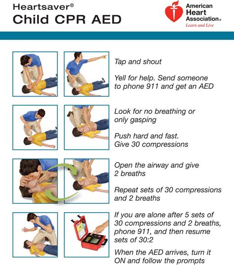 Infant Cpr American Heart Association Cpr Amp First Printable Infant Cpr Instructions - Printable Infant Cpr Instructions