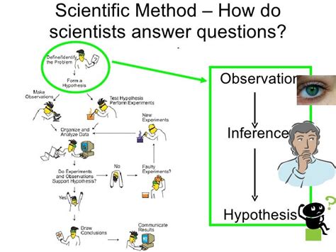 Inference Wikipedia Science Inferences - Science Inferences