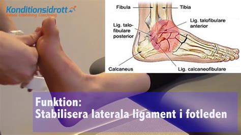 inflammation fotled behandling