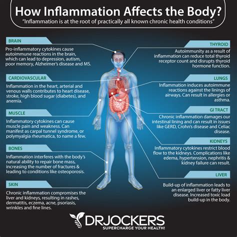 inflammation i bukfettet