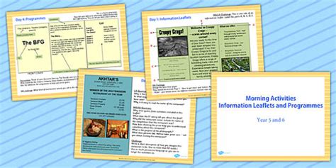 information leaflet examples year 6 english