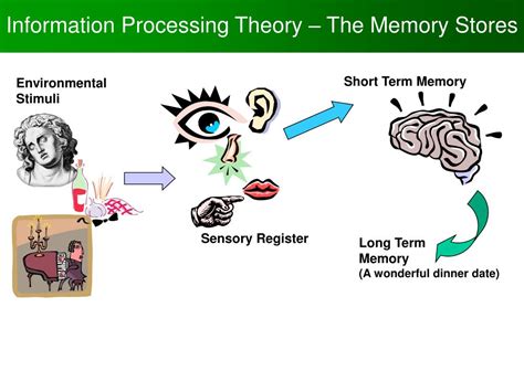 information processing attention