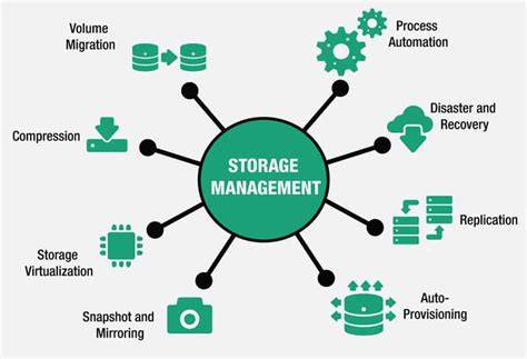 information storage and management by wiley