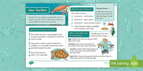 information text sea creature year 2