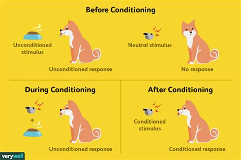 Information Theory Conditioning