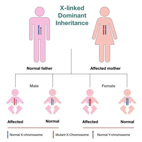 inheritance