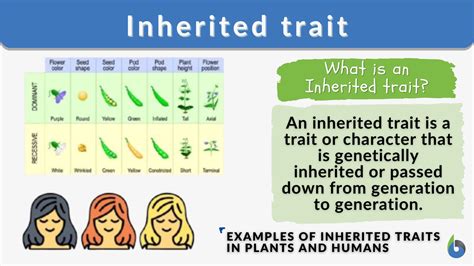 Inheritance Amp Variation Of Traits Third Grade Science Inherited Traits 3rd Grade - Inherited Traits 3rd Grade