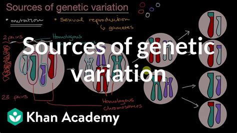 Inheritance And Variation High School Biology Khan Academy Variation In Science - Variation In Science