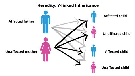 inheritance meaning
