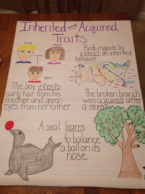 Inherited Traits Science Lesson For Kids Grades 3 Inheritance And Traits 3rd Grade - Inheritance And Traits 3rd Grade