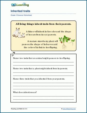 Inherited Traits Worksheets K5 Learning Human Genetic Traits Worksheet - Human Genetic Traits Worksheet