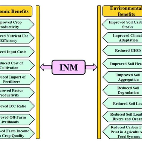 Inm Full Form