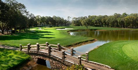 innisbrook florida