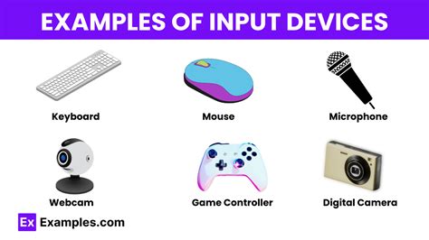 input meaning