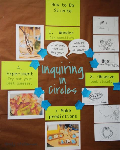Inquiry Based Science Lessons   Birdsleuth Archives Eva Varga - Inquiry Based Science Lessons