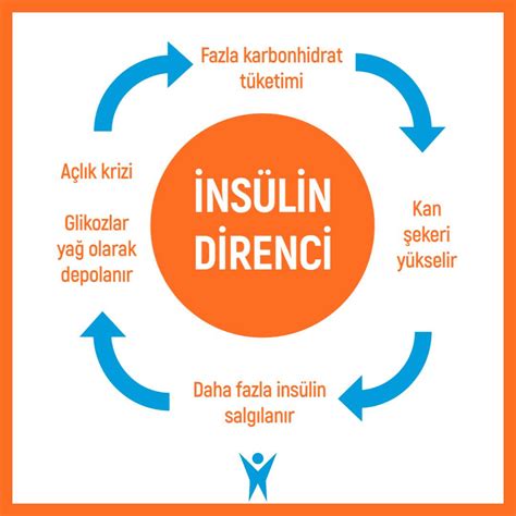 insülin direnci nedir kaç olmalı