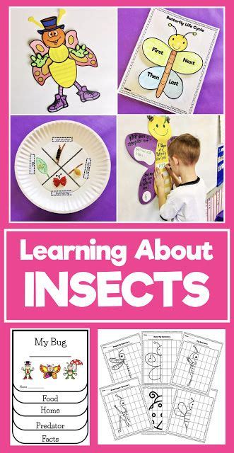 Insect Activities In First Grade Firstieland Insect Worksheet For First Grade - Insect Worksheet For First Grade