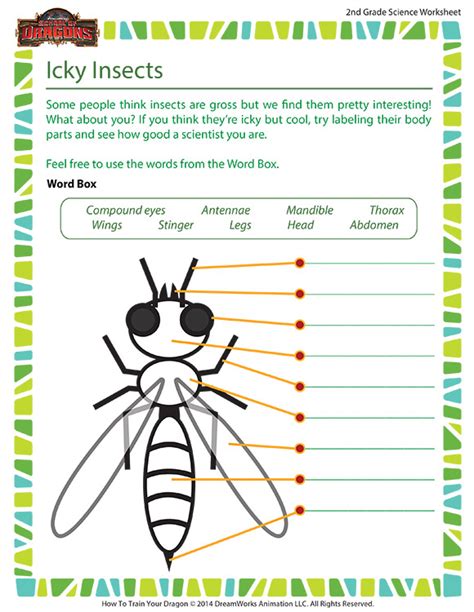 Insect Body Parts Worksheet   9 Icky Insect Worksheets Kids Love Education Com - Insect Body Parts Worksheet