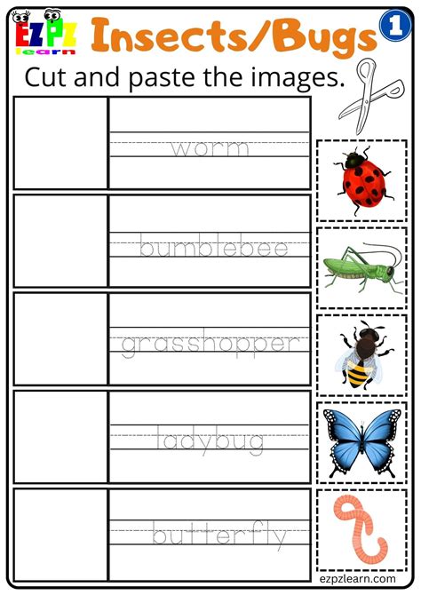 Insect Cut And Paste